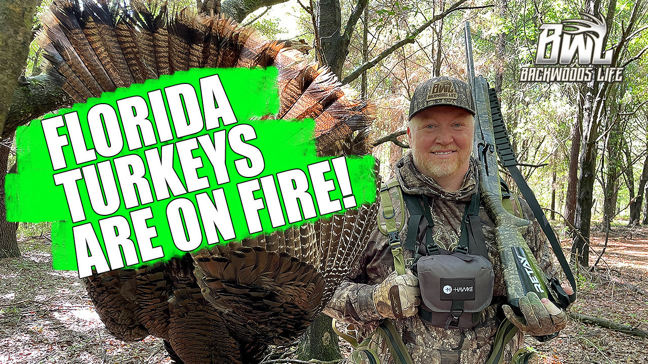 FLORIDA TURKEY HUNTING ON FIRE BWB 22.2