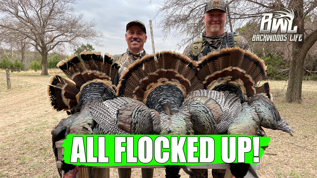 All Flocked Up! - Backwoods Life - Outdoor Video and Television