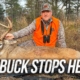 The Buck Stops Here