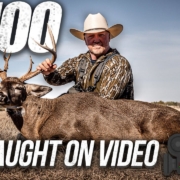 100th Deer On Film