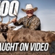 100th Deer On Film