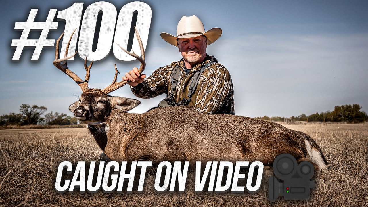 100th Deer On Film