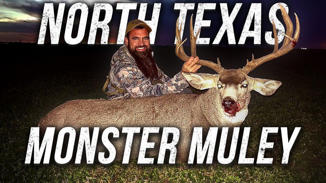 north texas monster muley