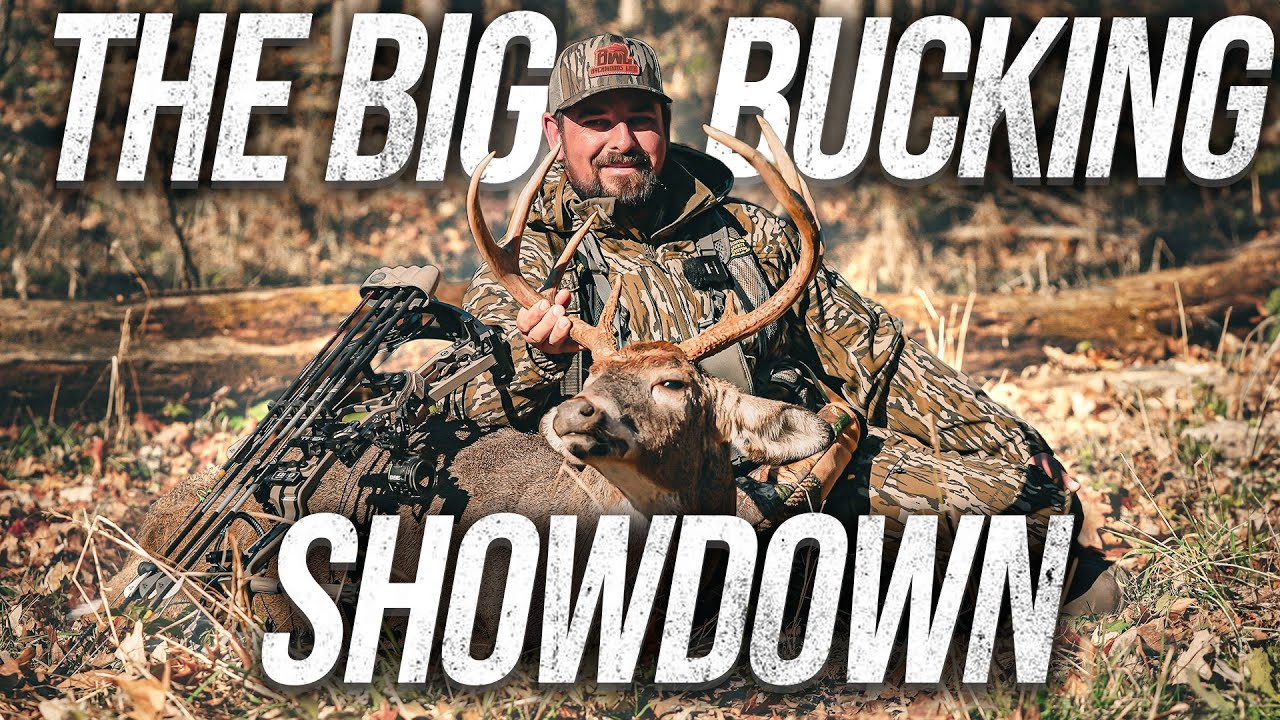 Big Buck Showdown