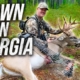 hot bow season Georgia buck